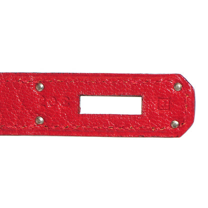 Hermes Chevre de Coromandel Birkin 35 Rouge Vif 18 of 25