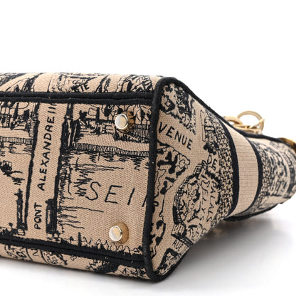 Christian Dior Canvas Embroidered Medium Plan de Paris Lady D-Lite Beige Black 12 of 15
