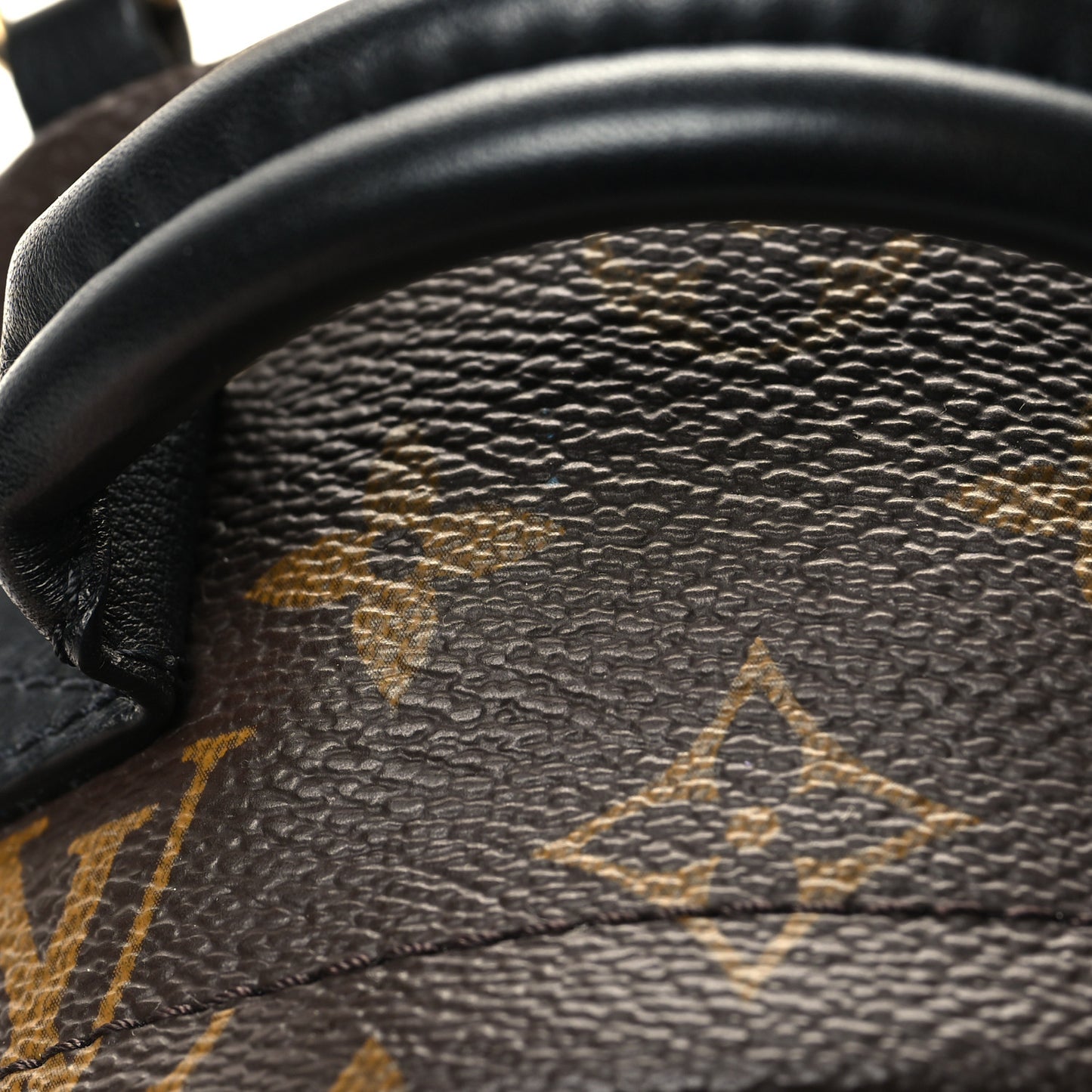 Monogram Palm Springs Backpack Mini