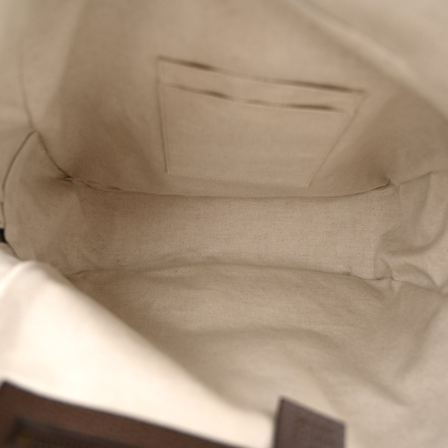 GG Supreme Monogram Medium Ophidia Day Backpack Brown