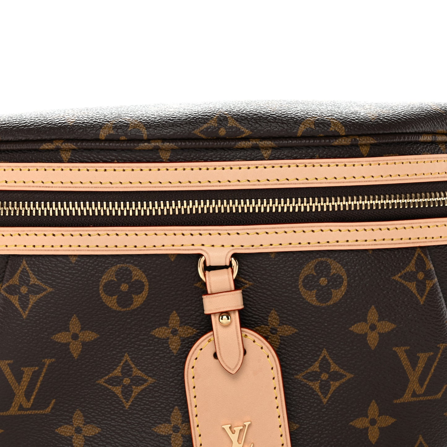 Monogram High Rise Bumbag