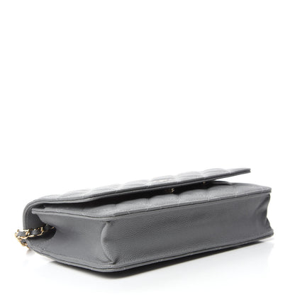 Chanel Caviar Quilted Wallet On Chain WOC Grey 4 of 11