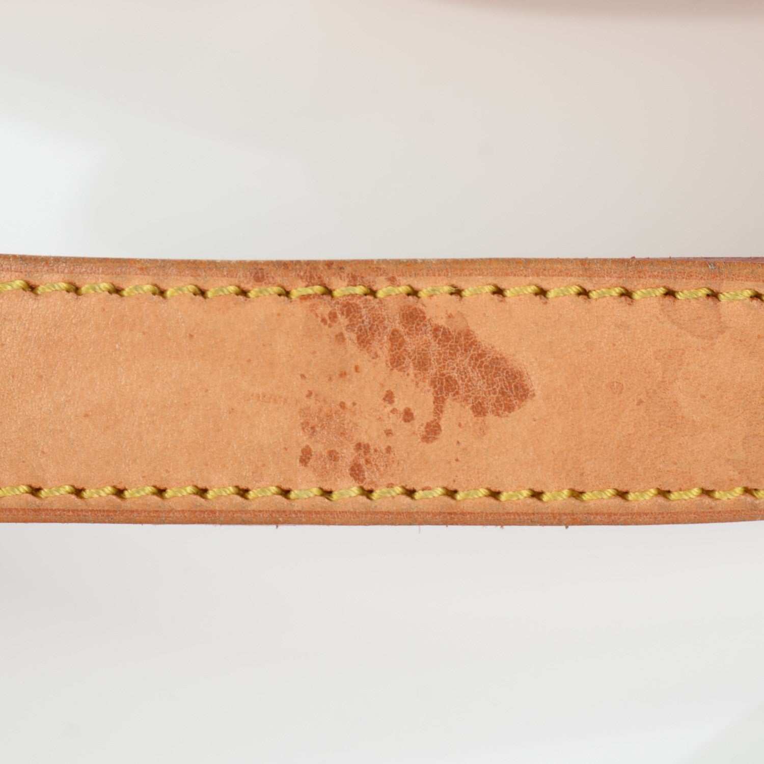 Louis Vuitton Monogram Hudson GM 12 of 13