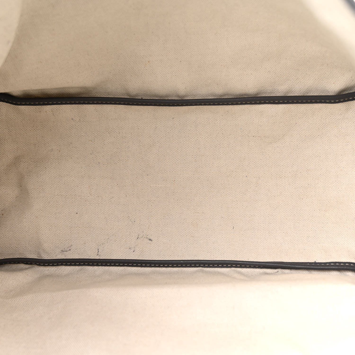 Goyard Goyardine Saint Louis PM Grey 6 of 13
