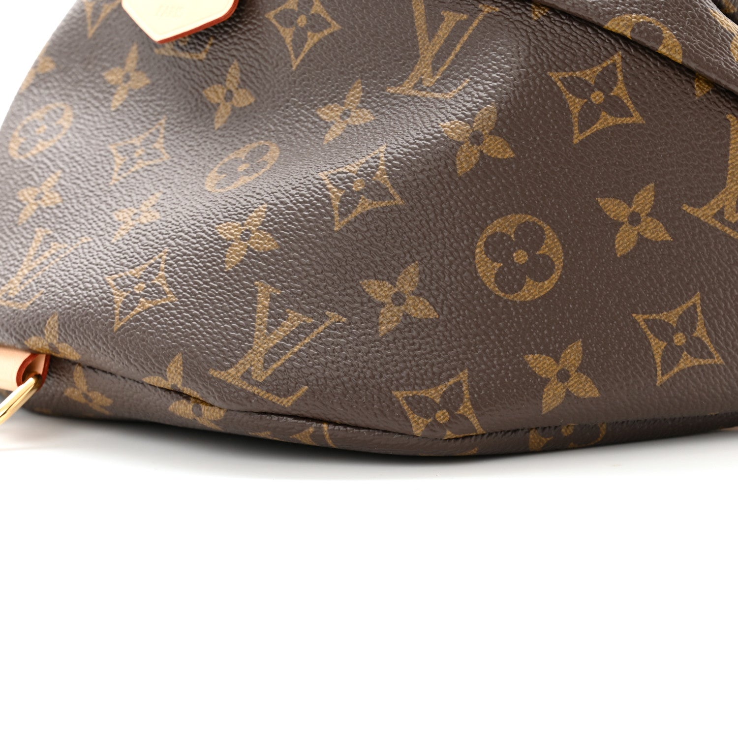 Louis Vuitton Monogram Bumbag 9 of 10