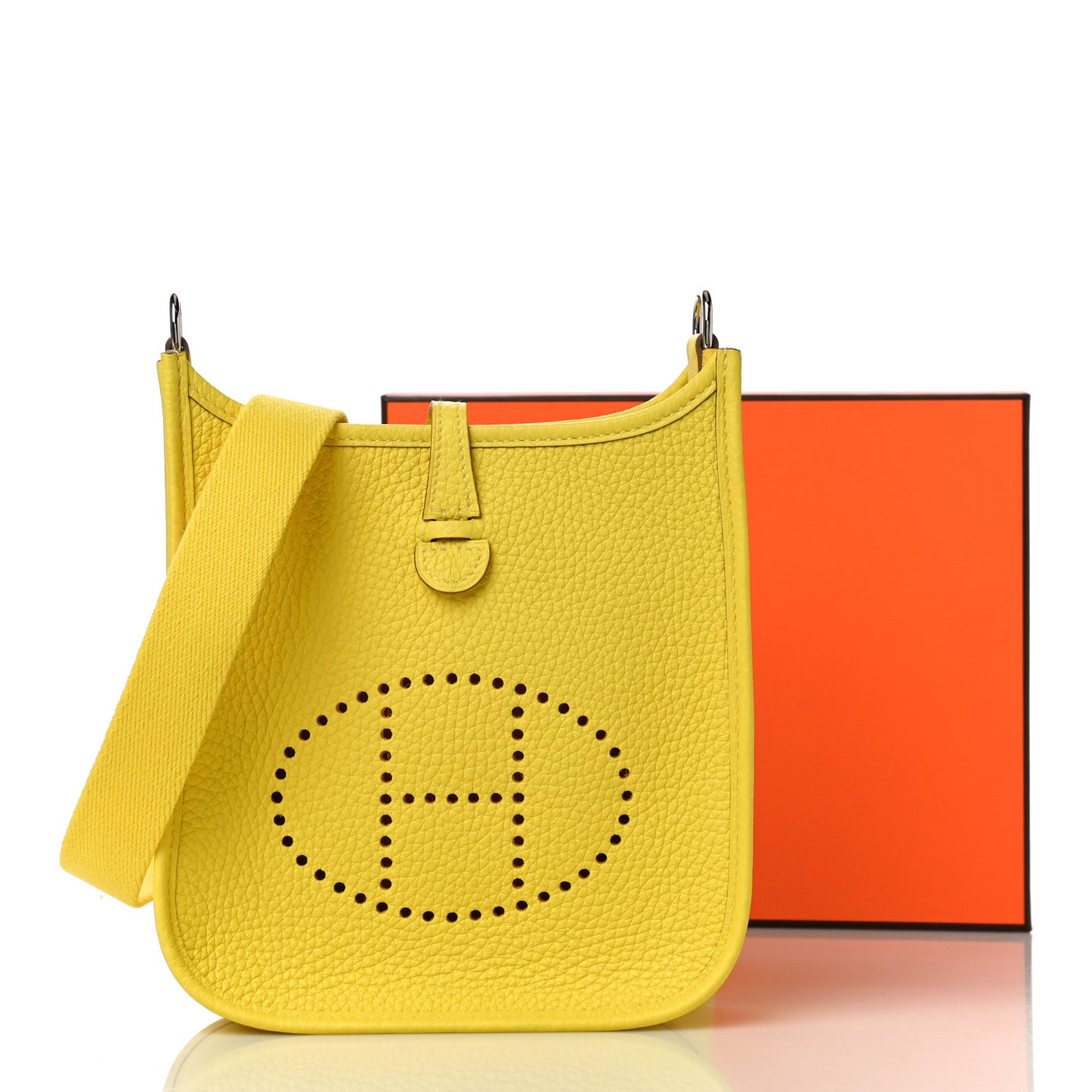 Taurillon Clemence Evelyne TPM Lime