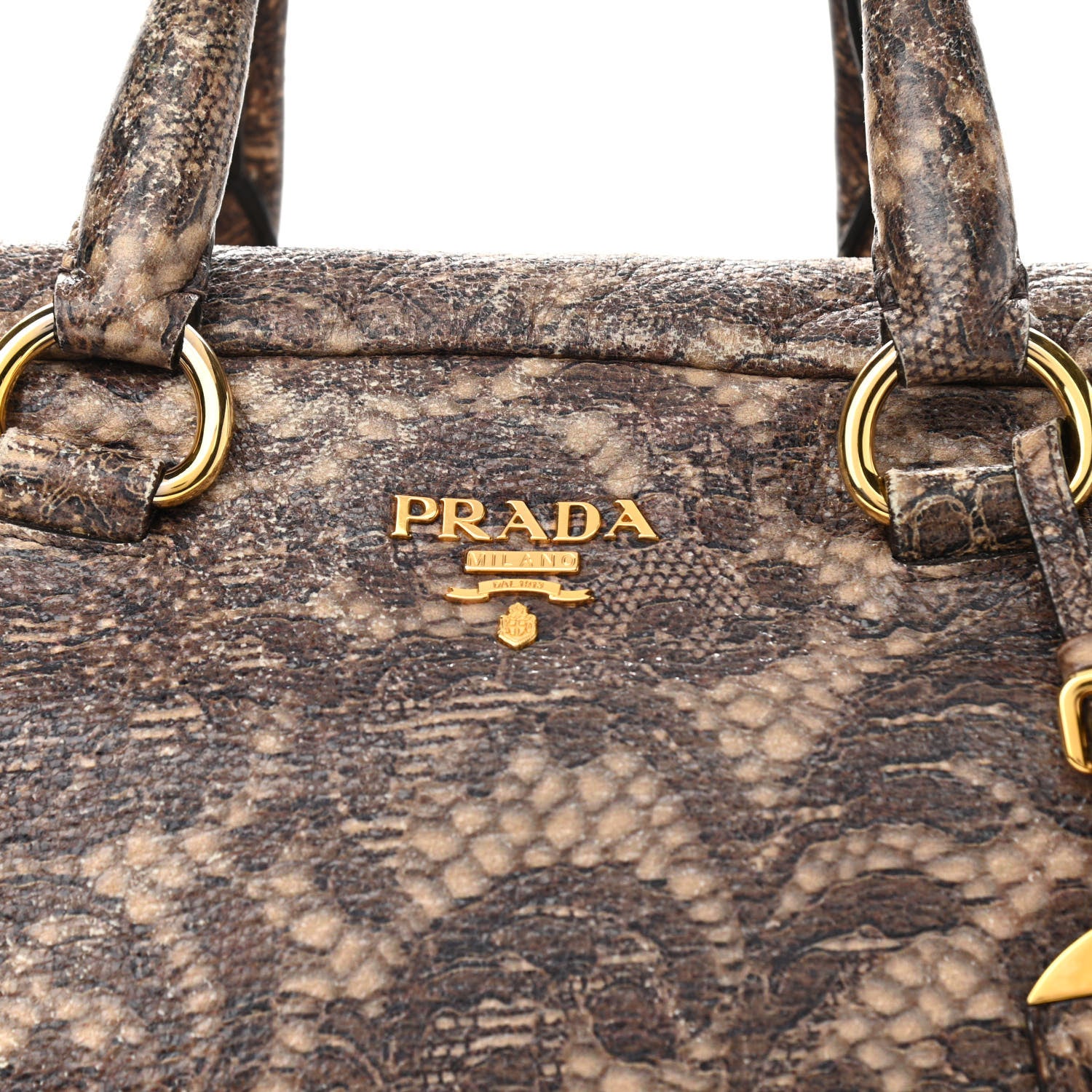 Prada Cervo Lux Print Lace Bauletto Bag Blond 8 of 13
