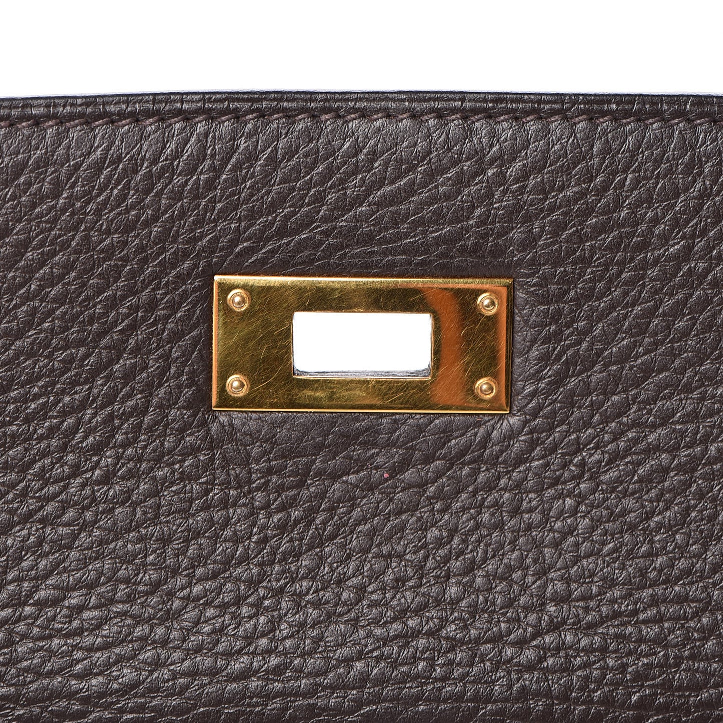 Taurillon Clemence Kelly Retourne 35 Chocolate