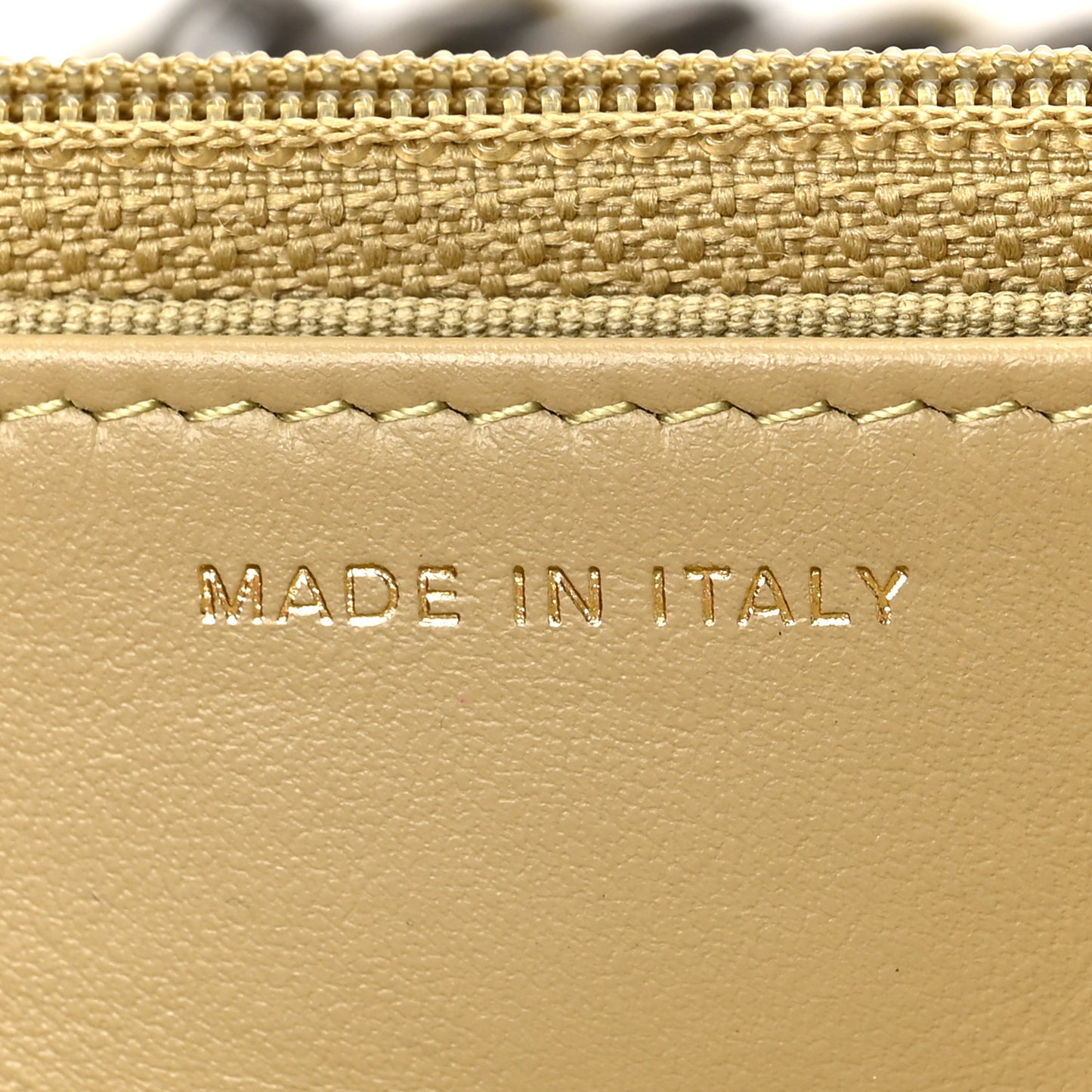 Lambskin Quilted Chanel 19 Wallet On Chain WOC Light Green