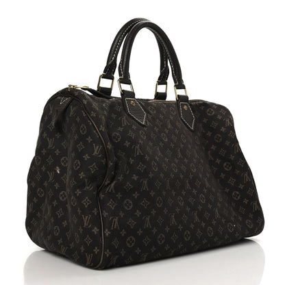 Louis Vuitton Mini Lin Speedy 30 Ebene 3 of 10