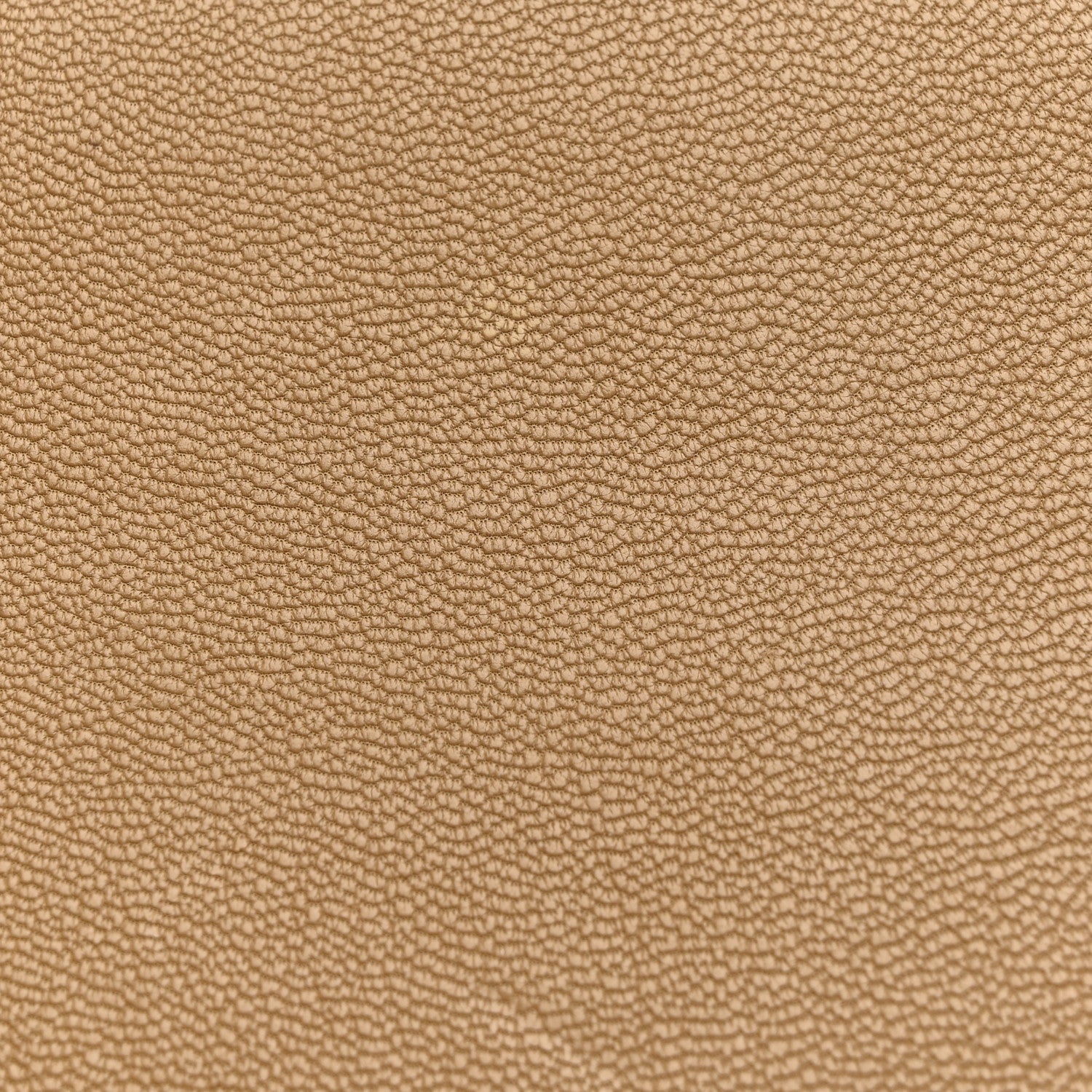 Saint Laurent Calfskin Monogram Large Belle De Jour Clutch  Beige 11 of 12