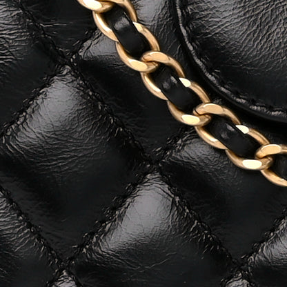 Chanel Shiny Aged Calfskin Quilted Nano Kelly Shopper Black 8 of 11