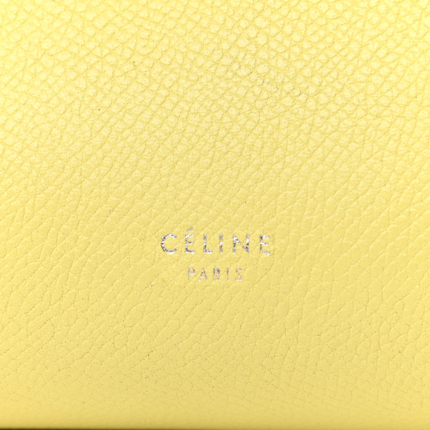 Grained Calfskin Micro Belt Bag Bergamote