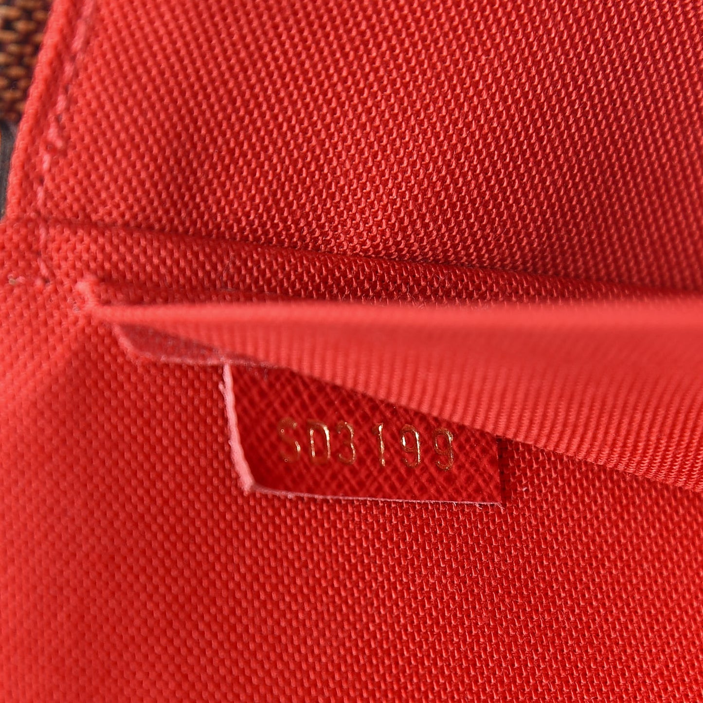 Damier Ebene Pochette Felicie Chain Wallet