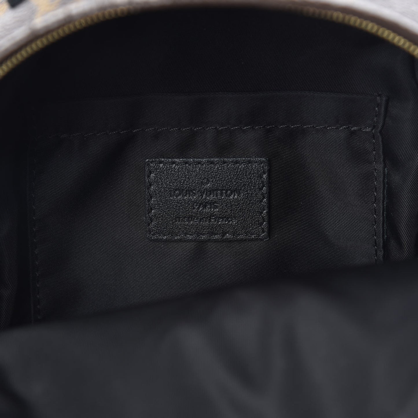 Monogram Palm Springs Backpack Mini