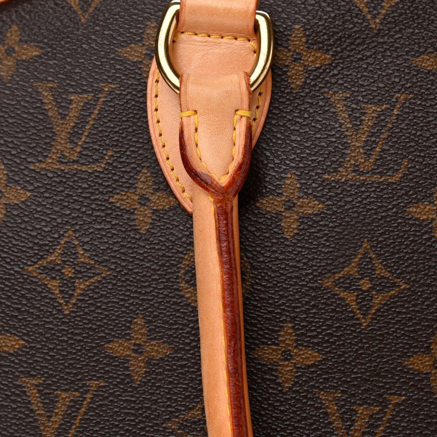 Monogram Lockit Horizontal