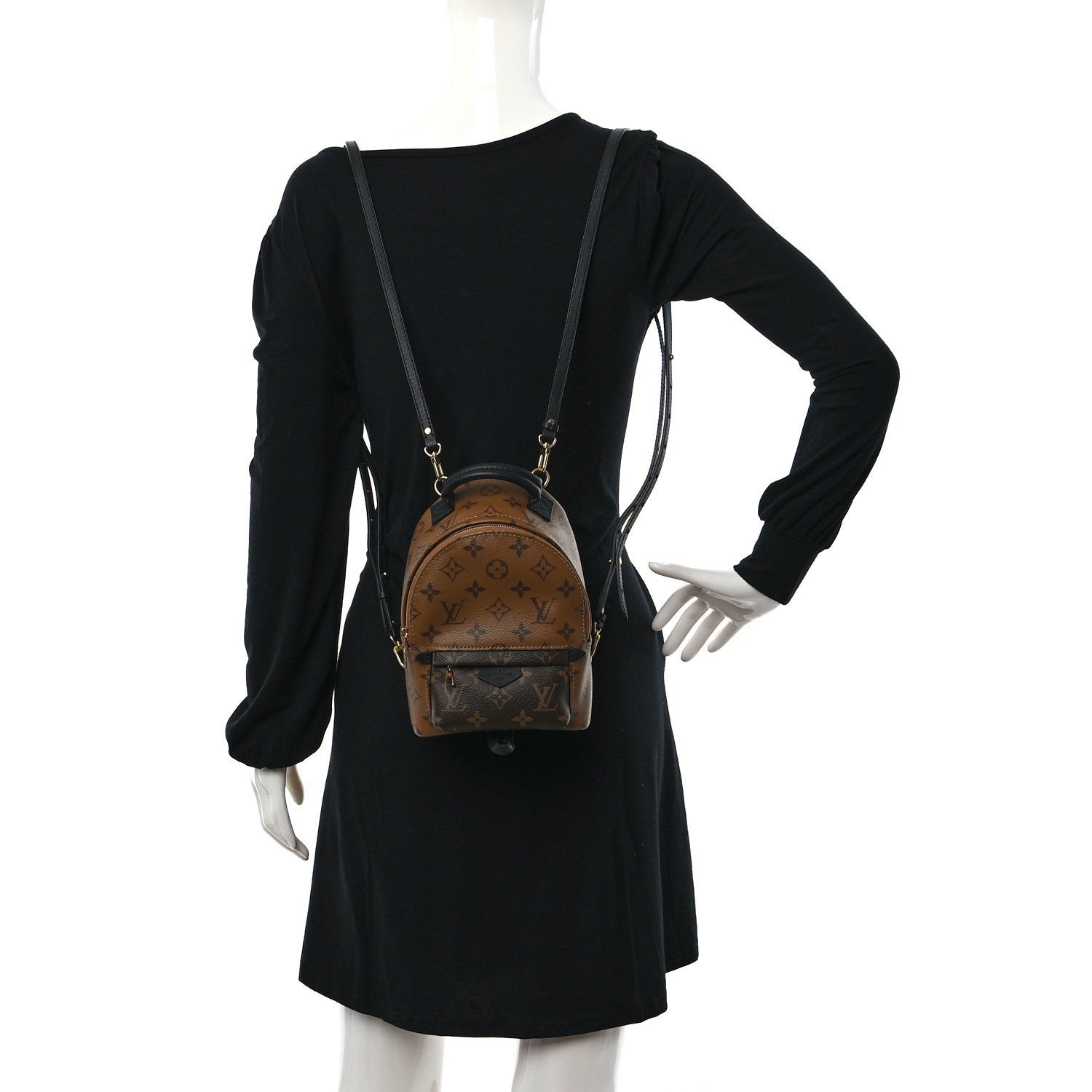 Louis Vuitton Reverse Monogram Palm Springs Backpack Mini 2 of 10