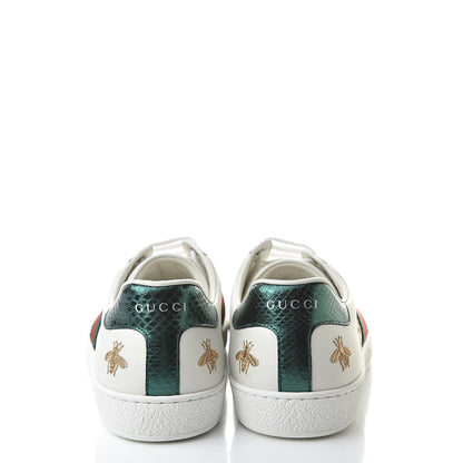 Gucci Calfskin Ayers Web Bee Star Embroidered Mens Ace Sneakers 8 White Green 5 of 11