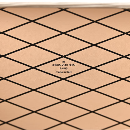 Louis Vuitton Epi Petite Malle Silver 6 of 19