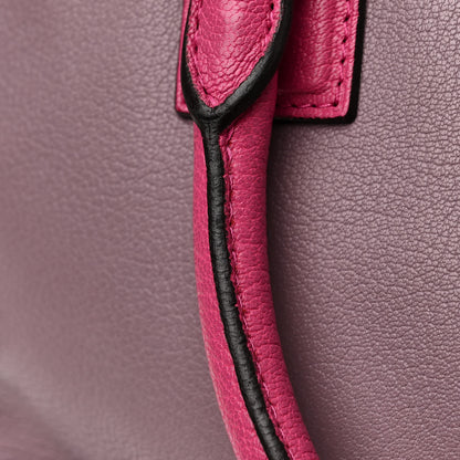 Loewe Goatskin Amazona Purple 11 of 13