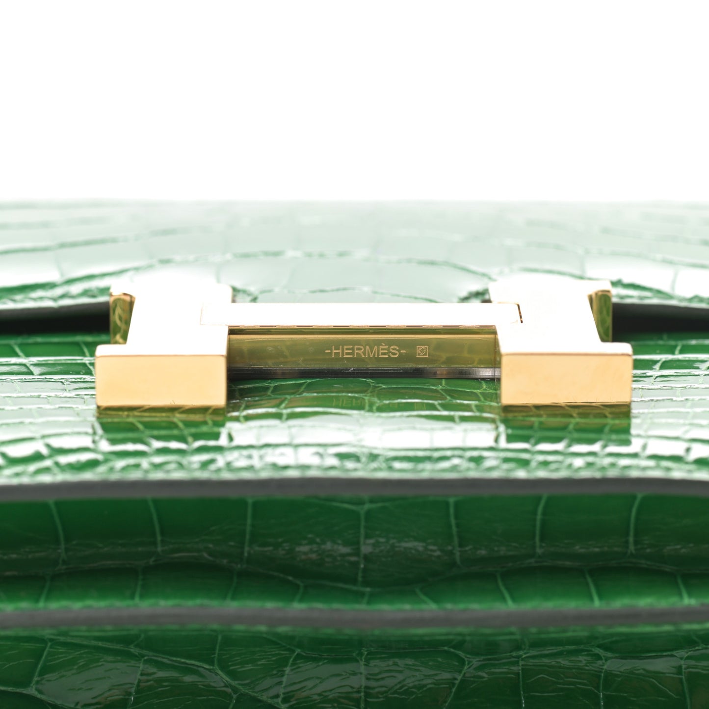 Shiny Alligator Constance 18 Cactus