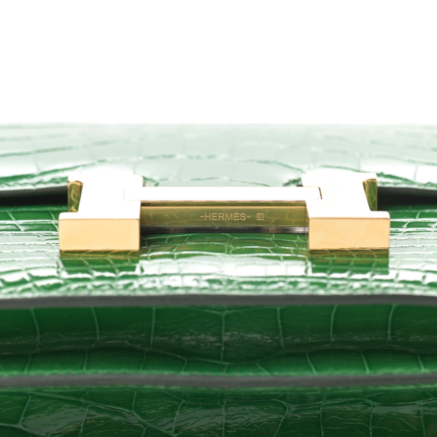 Hermes Shiny Alligator Constance 18 Cactus 15 of 21