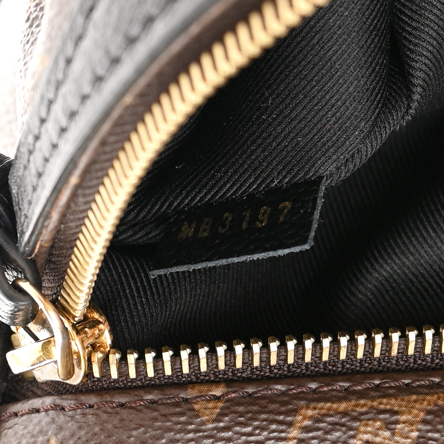 Monogram Tournelle MM Black