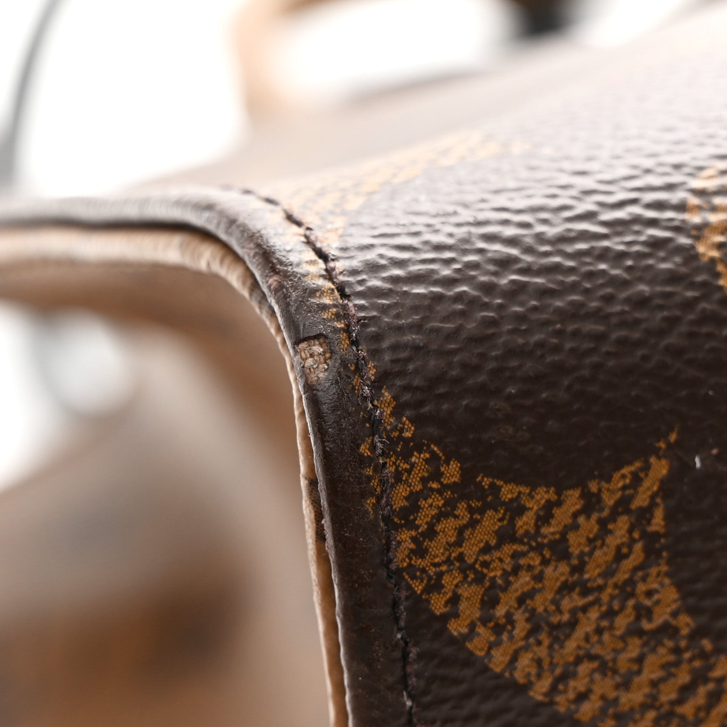 Louis Vuitton Reverse Monogram Giant Onthego MM 18 of 21
