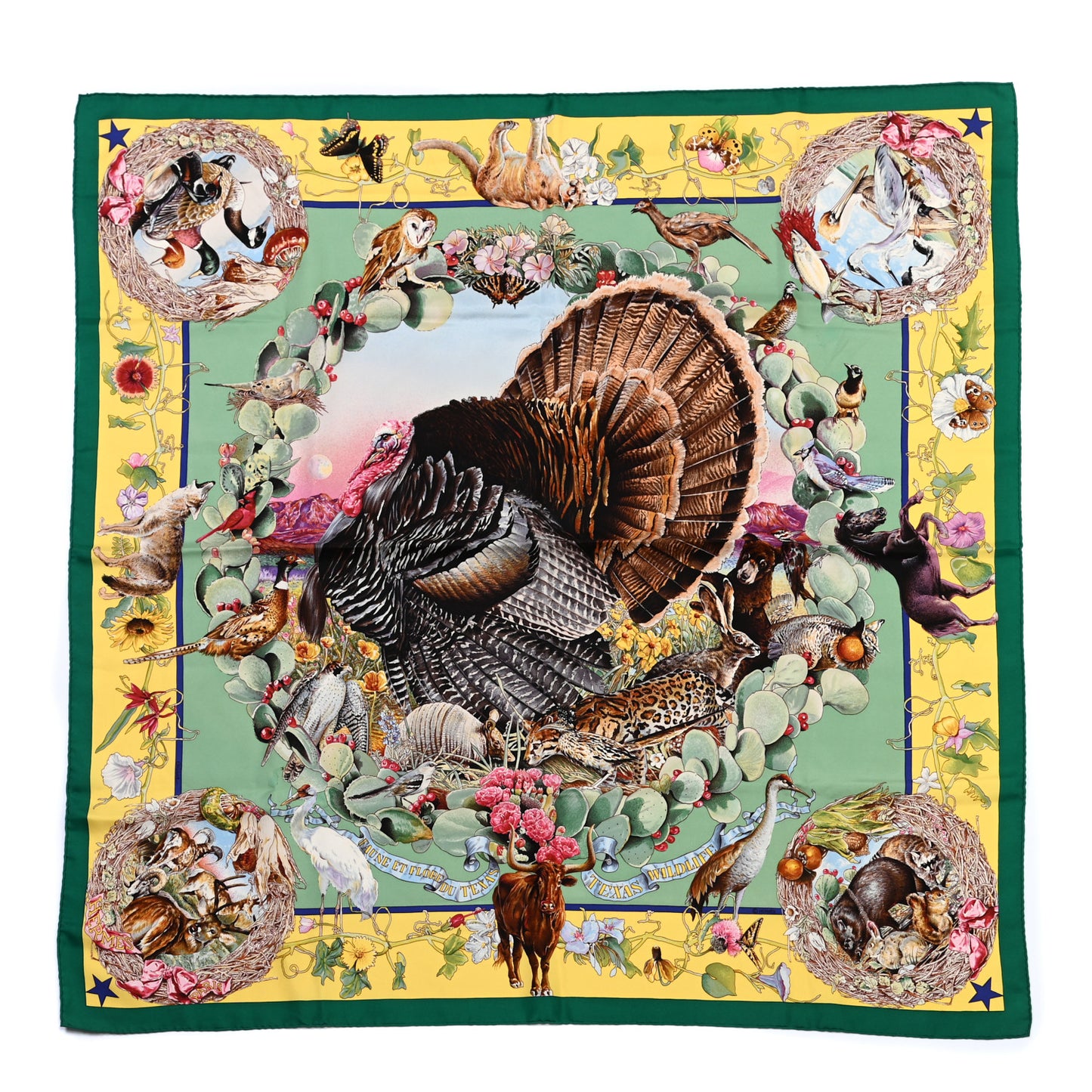 Silk Faune Et Flore Du Texas Scarf