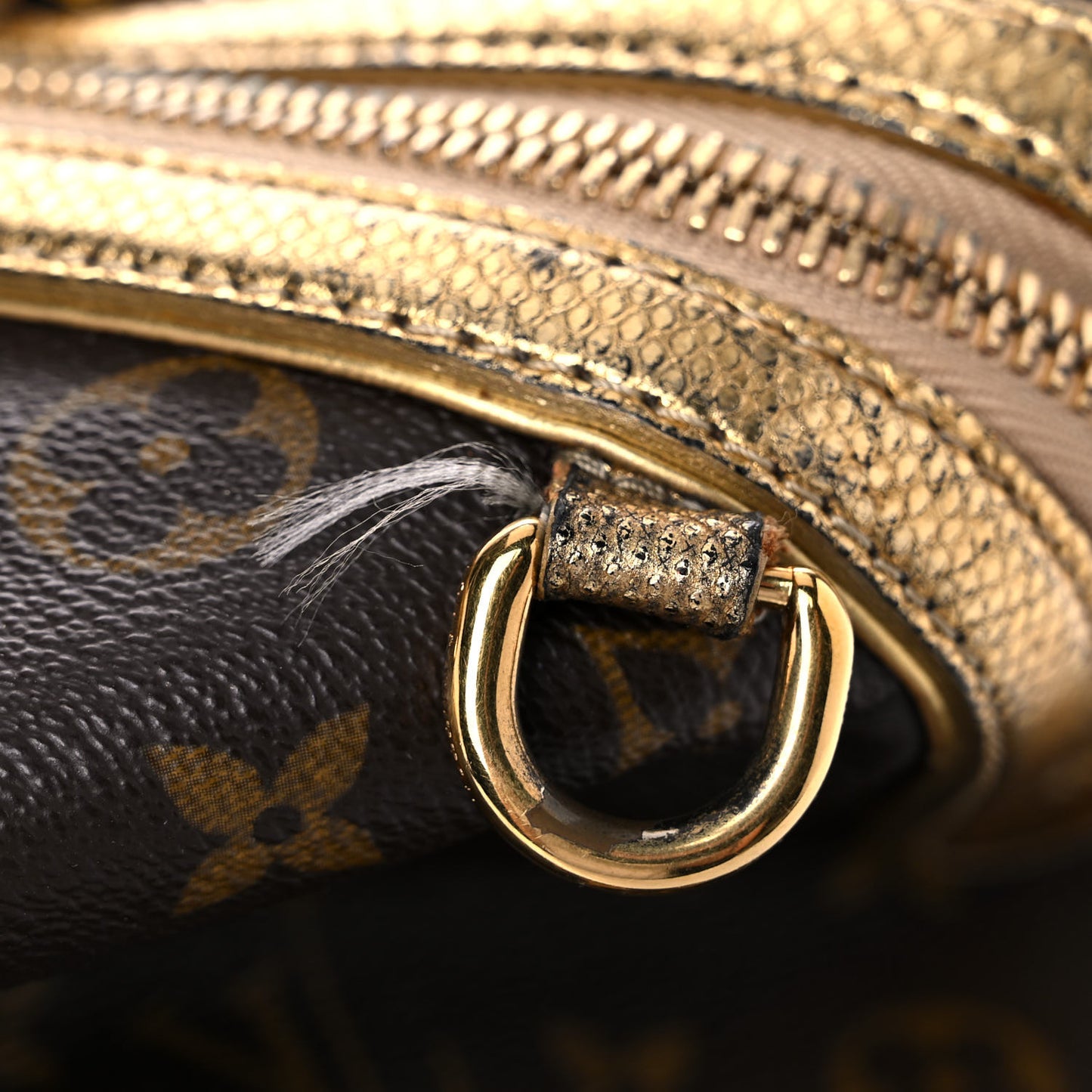 Monogram Leopard Stephen Bag