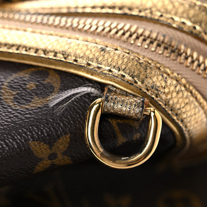 Louis Vuitton Monogram Leopard Stephen Bag 21 of 29