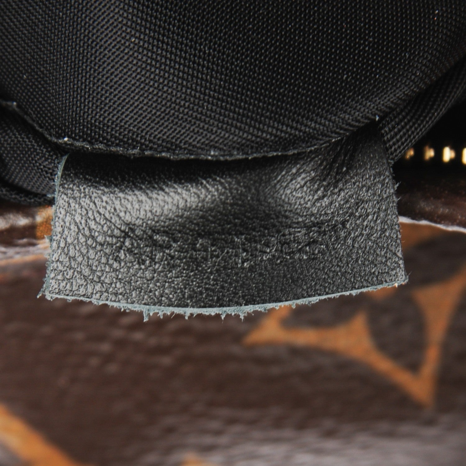 Louis Vuitton Monogram Palm Springs Backpack Mini 6 of 6