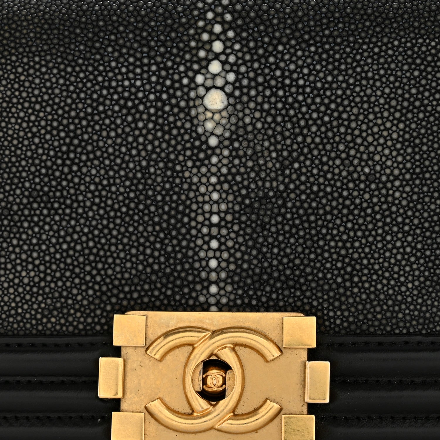 Chanel Galuchat Stingray Small Boy Flap Black 12 of 14
