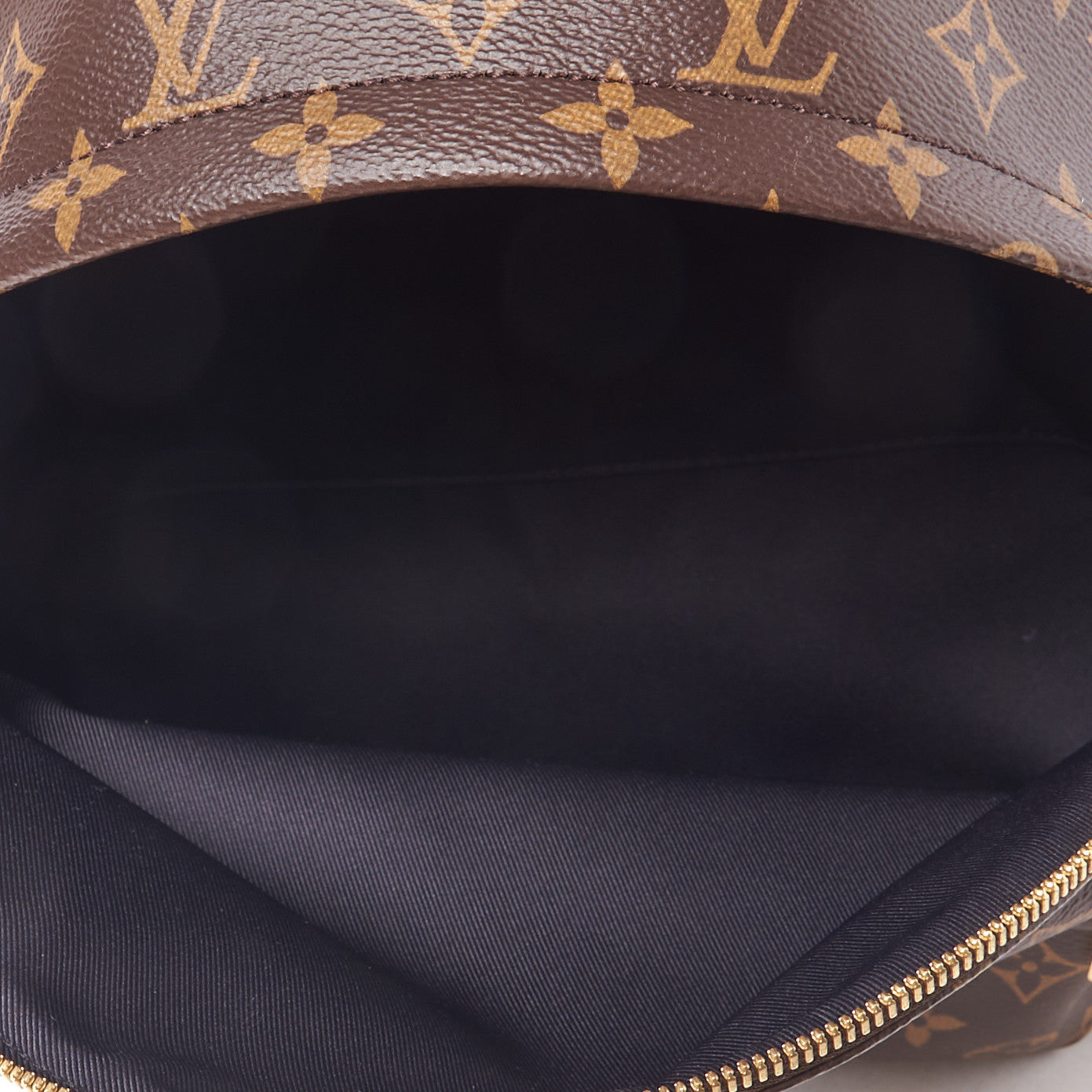 Louis Vuitton Monogram Palm Springs Backpack MM 4 of 8