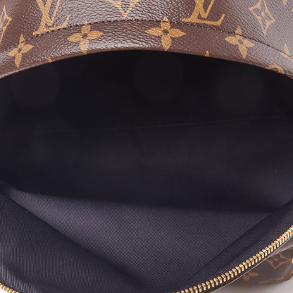 Louis Vuitton Monogram Palm Springs Backpack MM 4 of 8