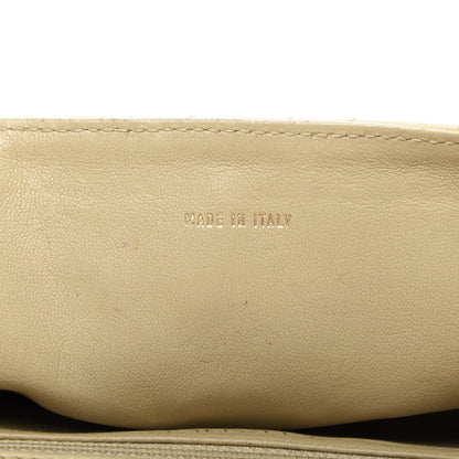 Chanel Lambskin Bekko Resin Small Single Flap Beige 10 of 11