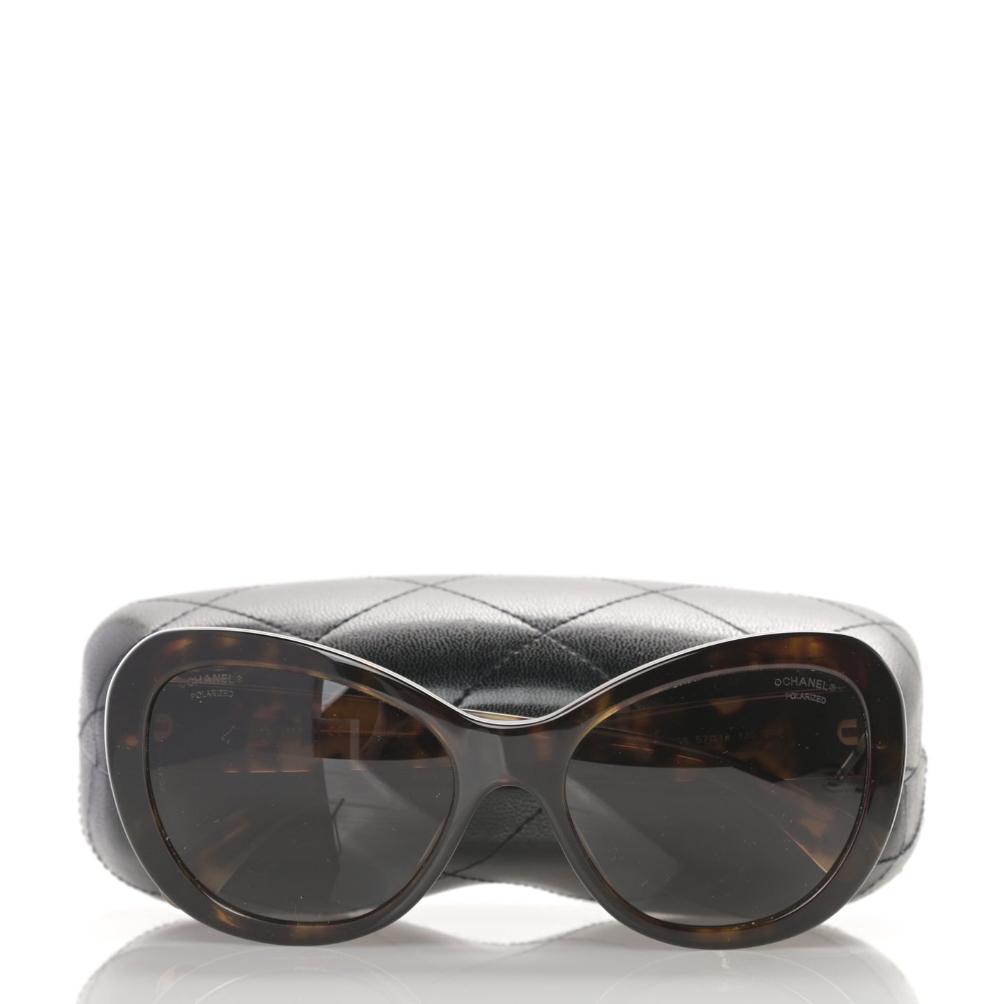 Acetate Polarized Cat Eye Sunglasses 5321 Tortoise
