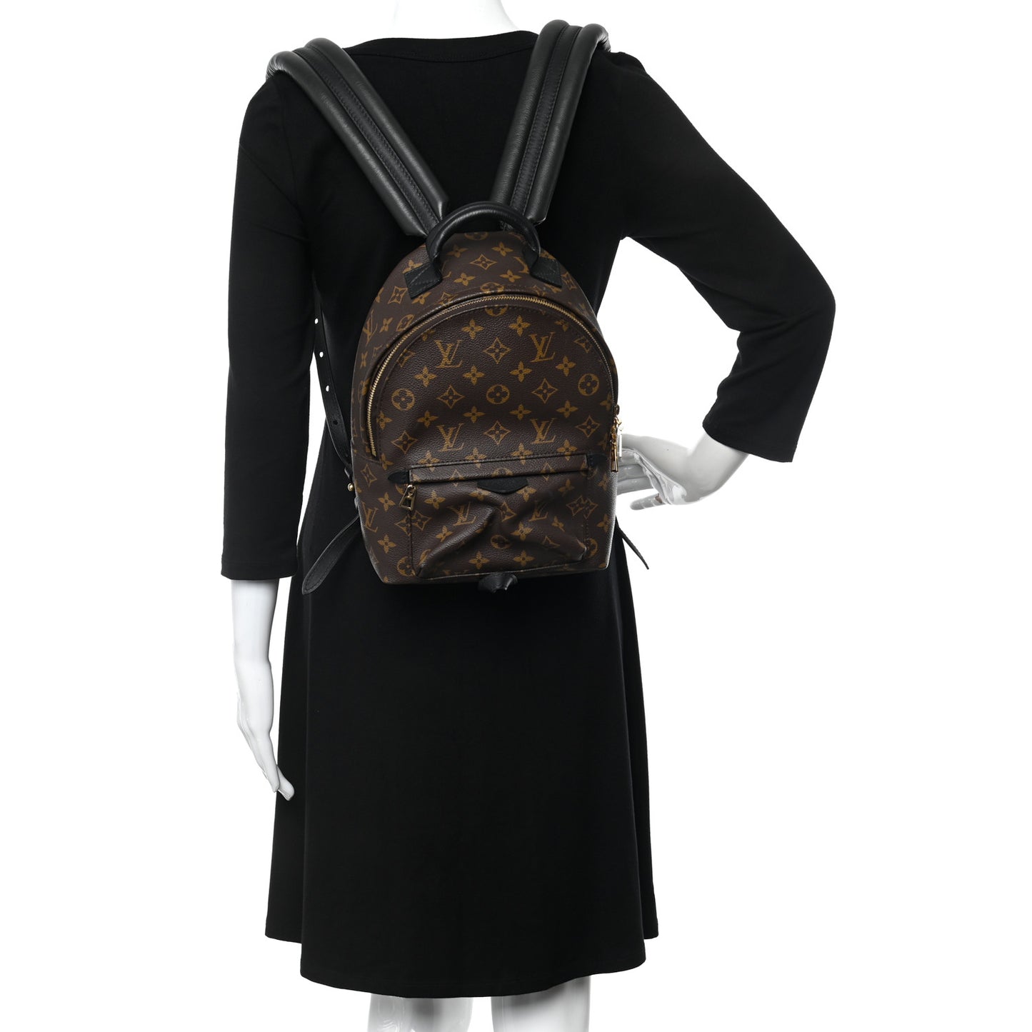 Monogram Palm Springs Backpack PM
