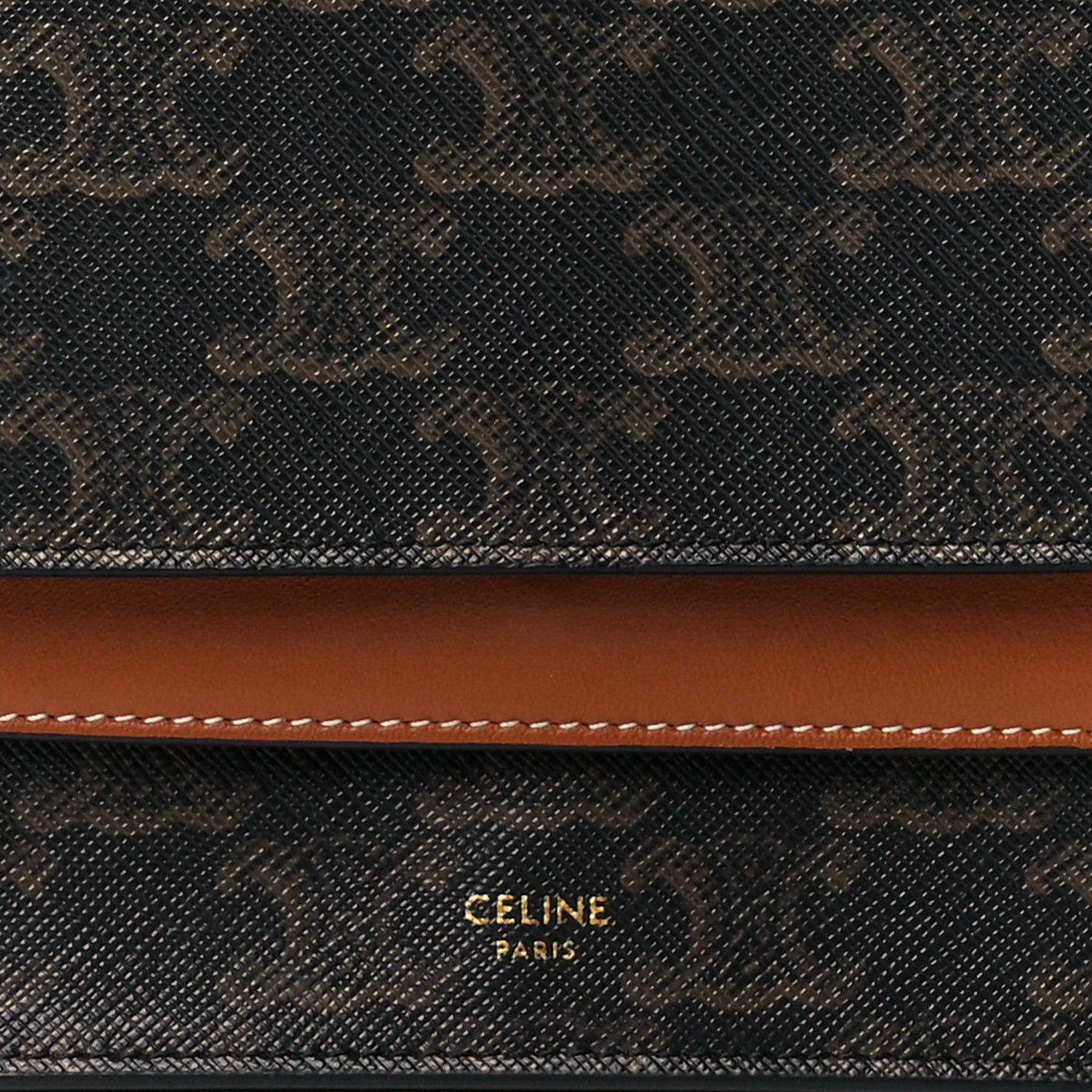 Triomphe Canvas Lambskin Wallet On Strap Tan