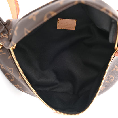 Louis Vuitton Monogram Bumbag 5 of 10