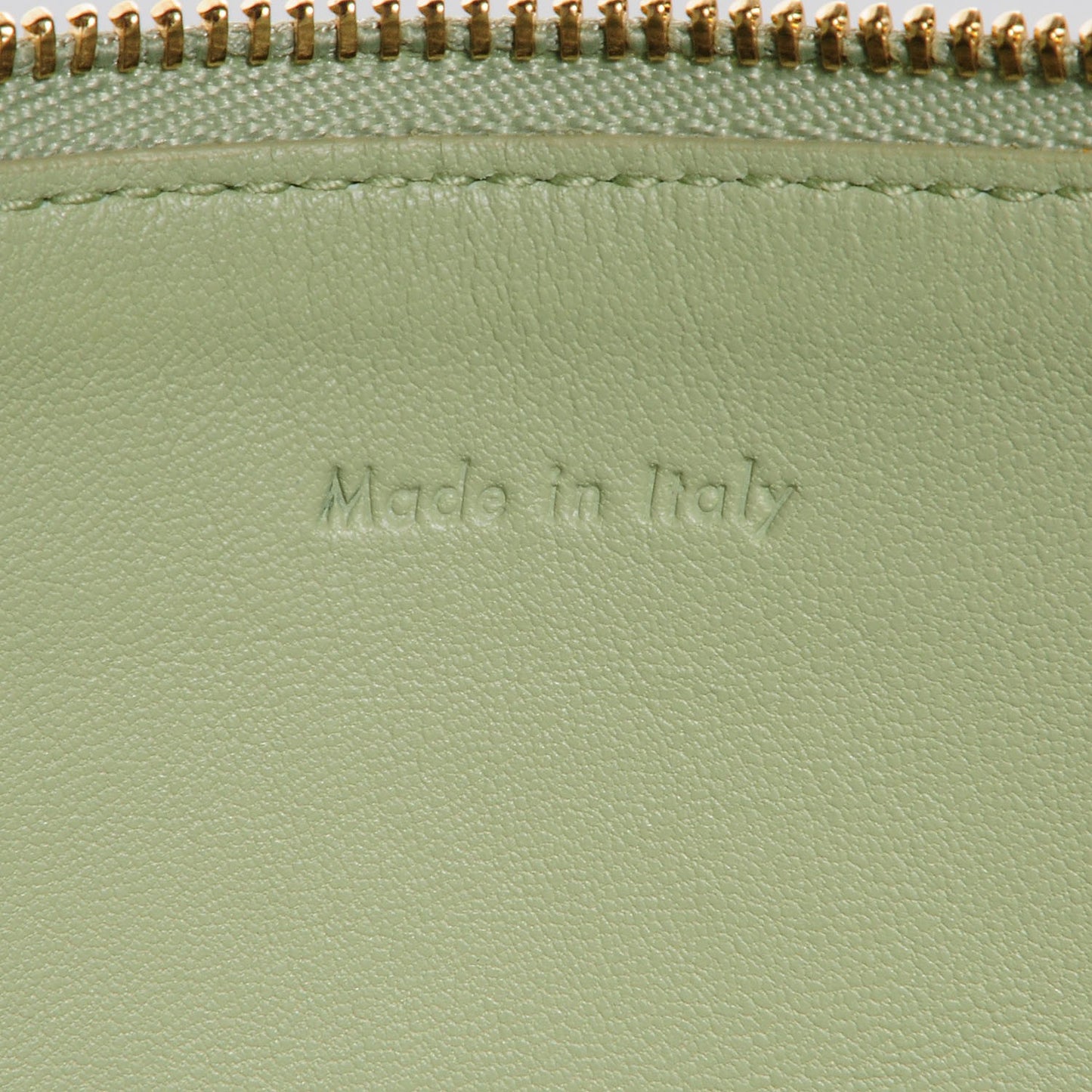 Lambskin Bi-Color Solo Clutch Pouch Pistachio Black