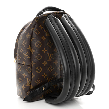 Louis Vuitton Monogram Palm Springs Backpack PM 3 of 9