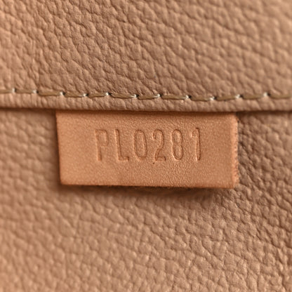 Louis Vuitton Monogram Nano Nice 7 of 8
