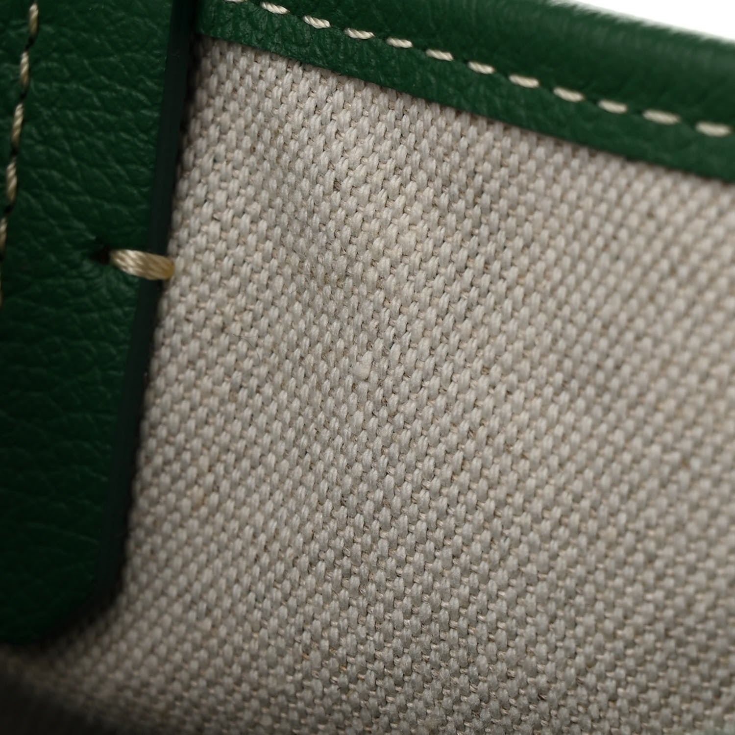 Goyard Goyardine Saint Louis PM Green 12 of 12