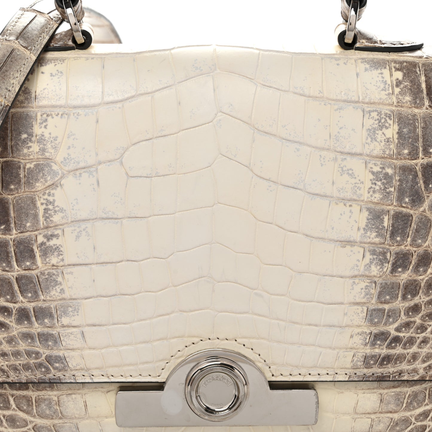 Niloticus Crocodile Himalaya Rejane BB White
