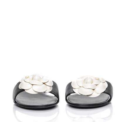 Chanel Lambskin Camellia Sandals 39.5 Black White 2 of 8