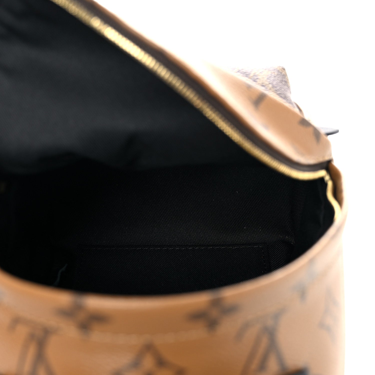 Louis Vuitton Reverse Monogram Palm Springs Backpack Mini 5 of 10