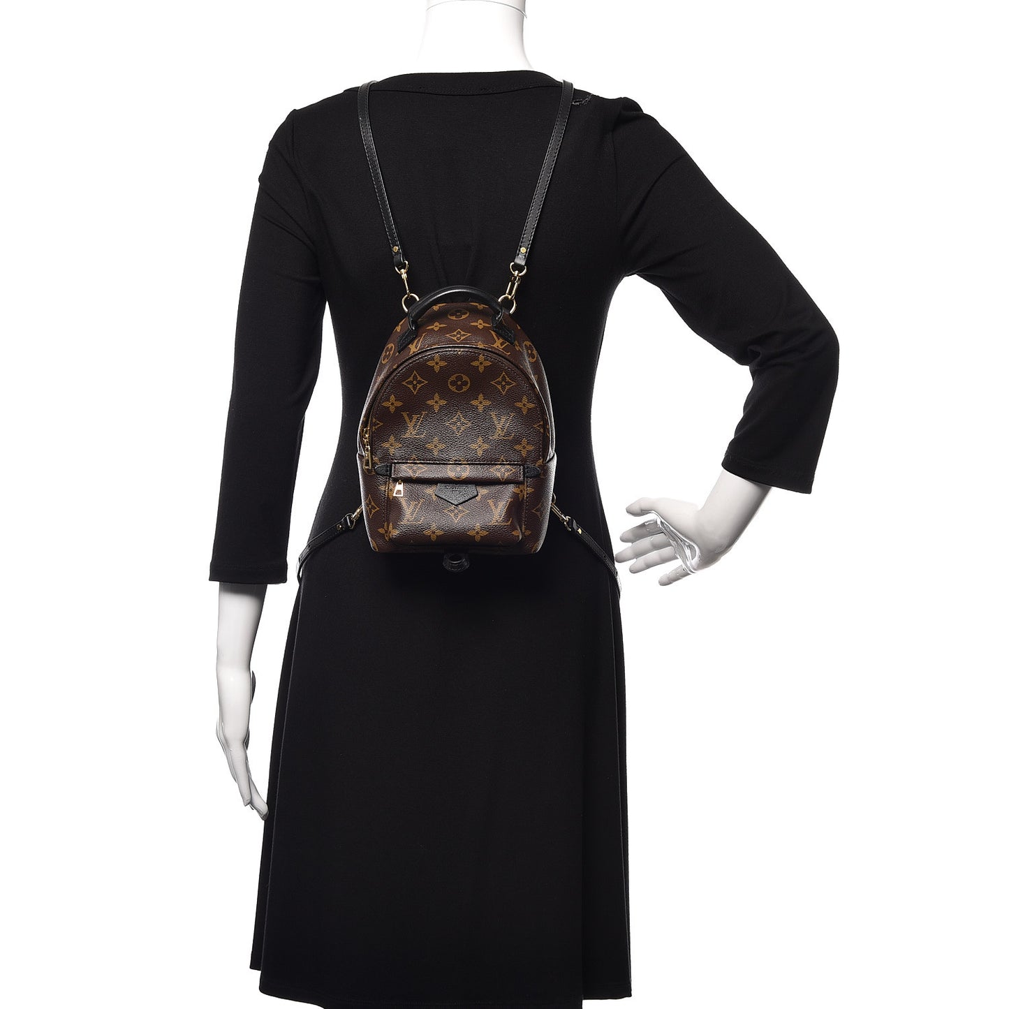 Monogram Palm Springs Backpack Mini