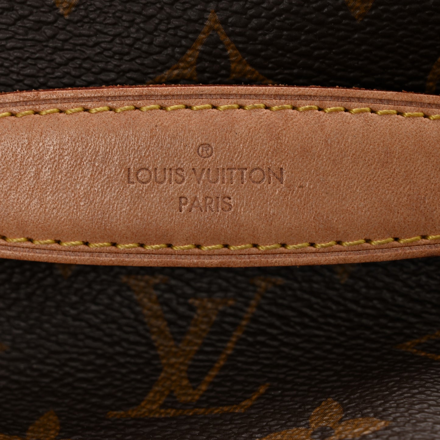 Monogram Bumbag