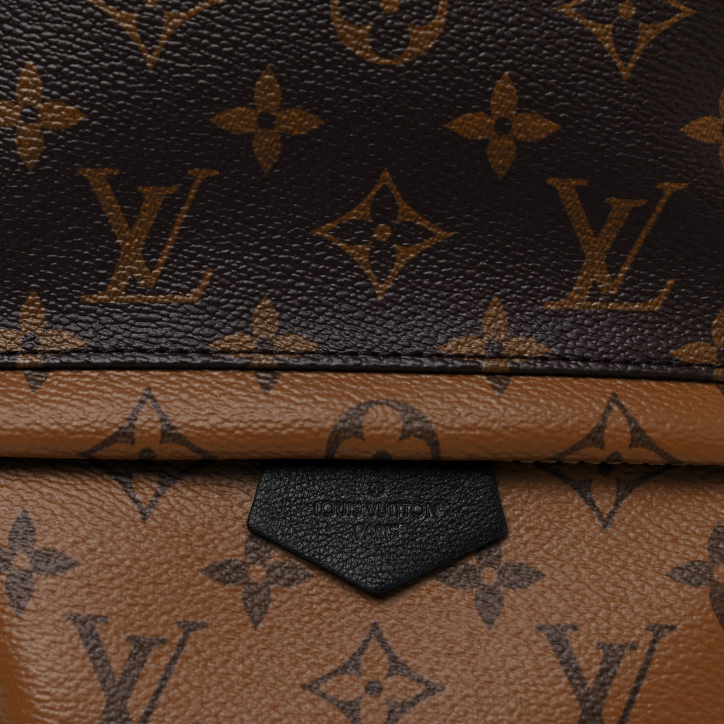 Reverse Monogram Palm Springs Backpack PM